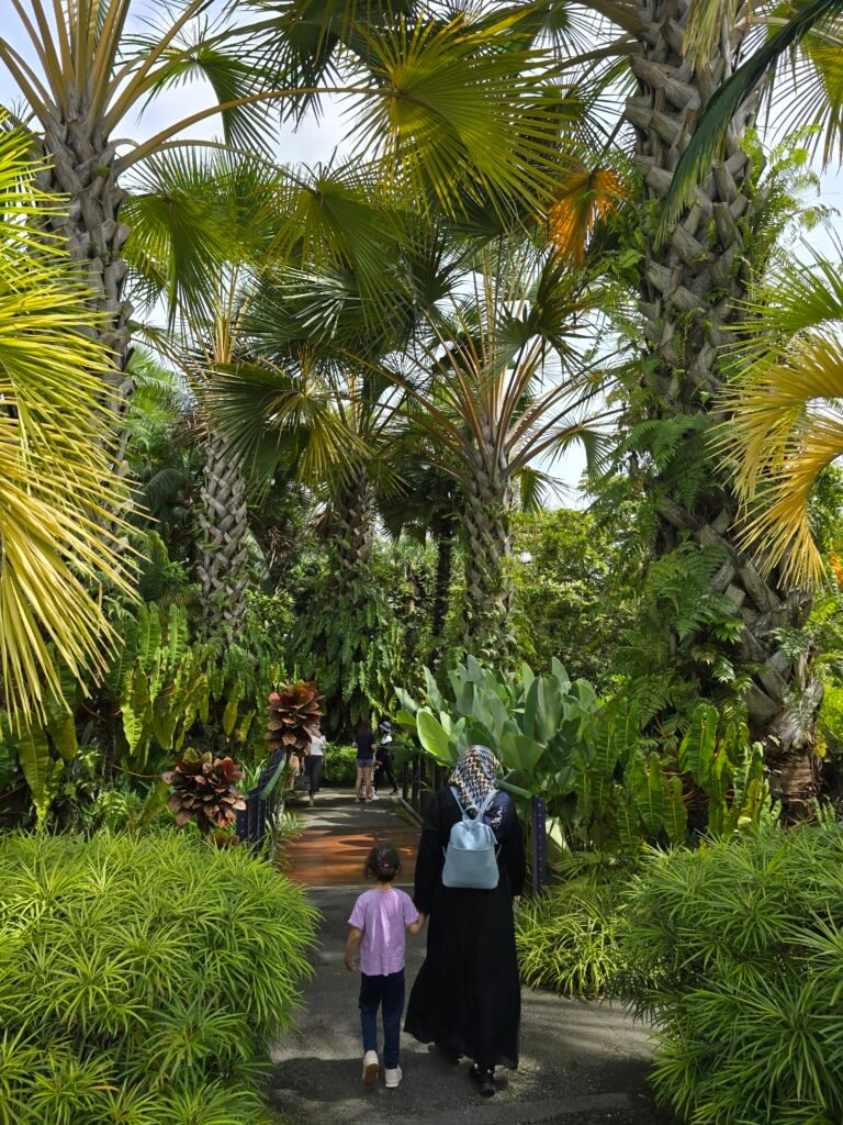 co-regulation in parenting