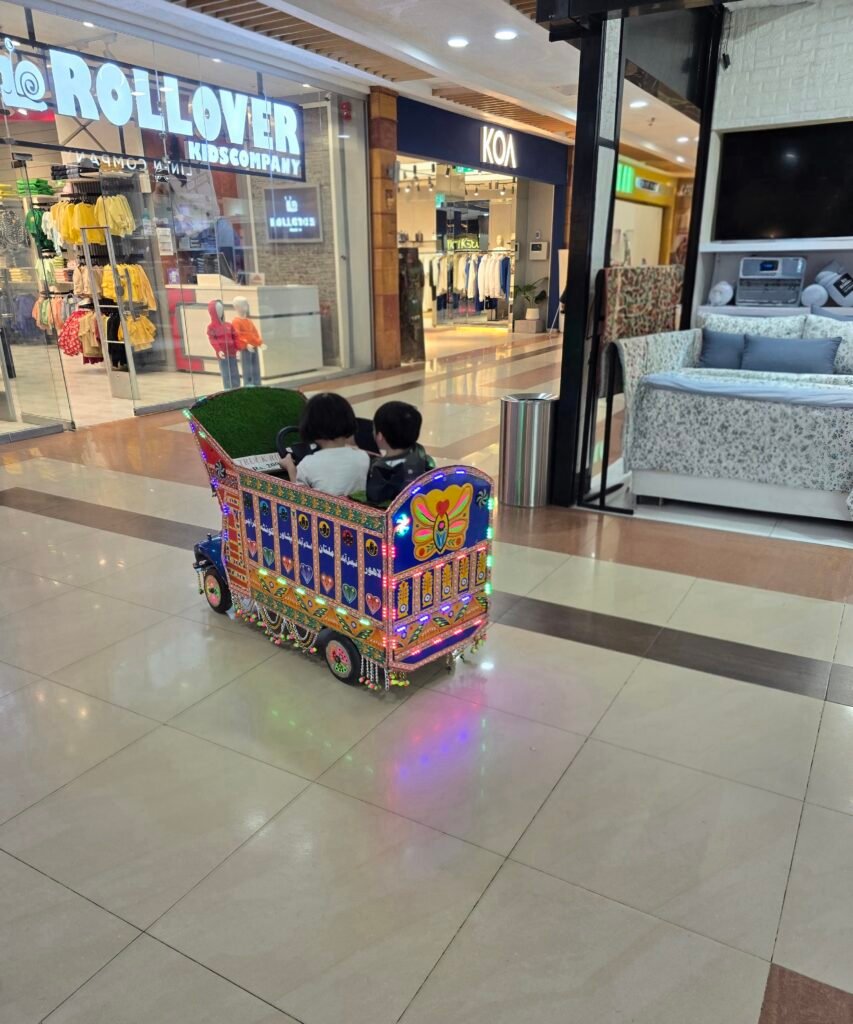 family trip to pakistan