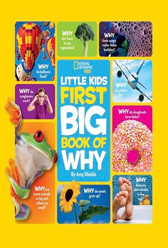 littlekidsfirstbigbookofwhy