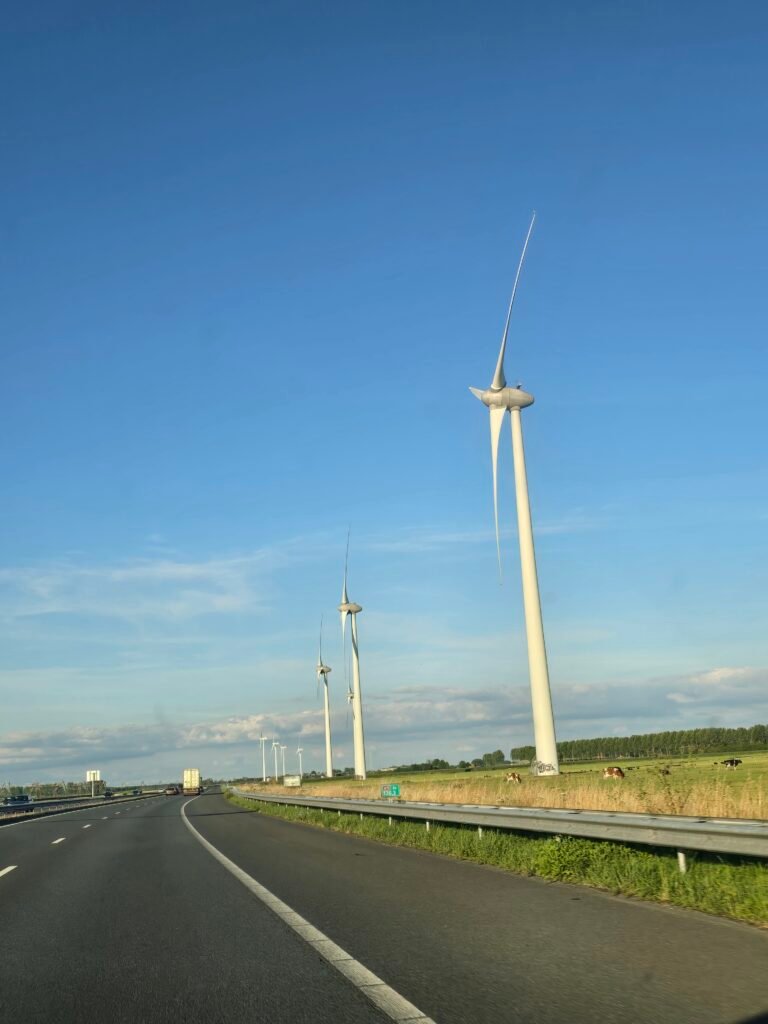 road trip traditions with kids
