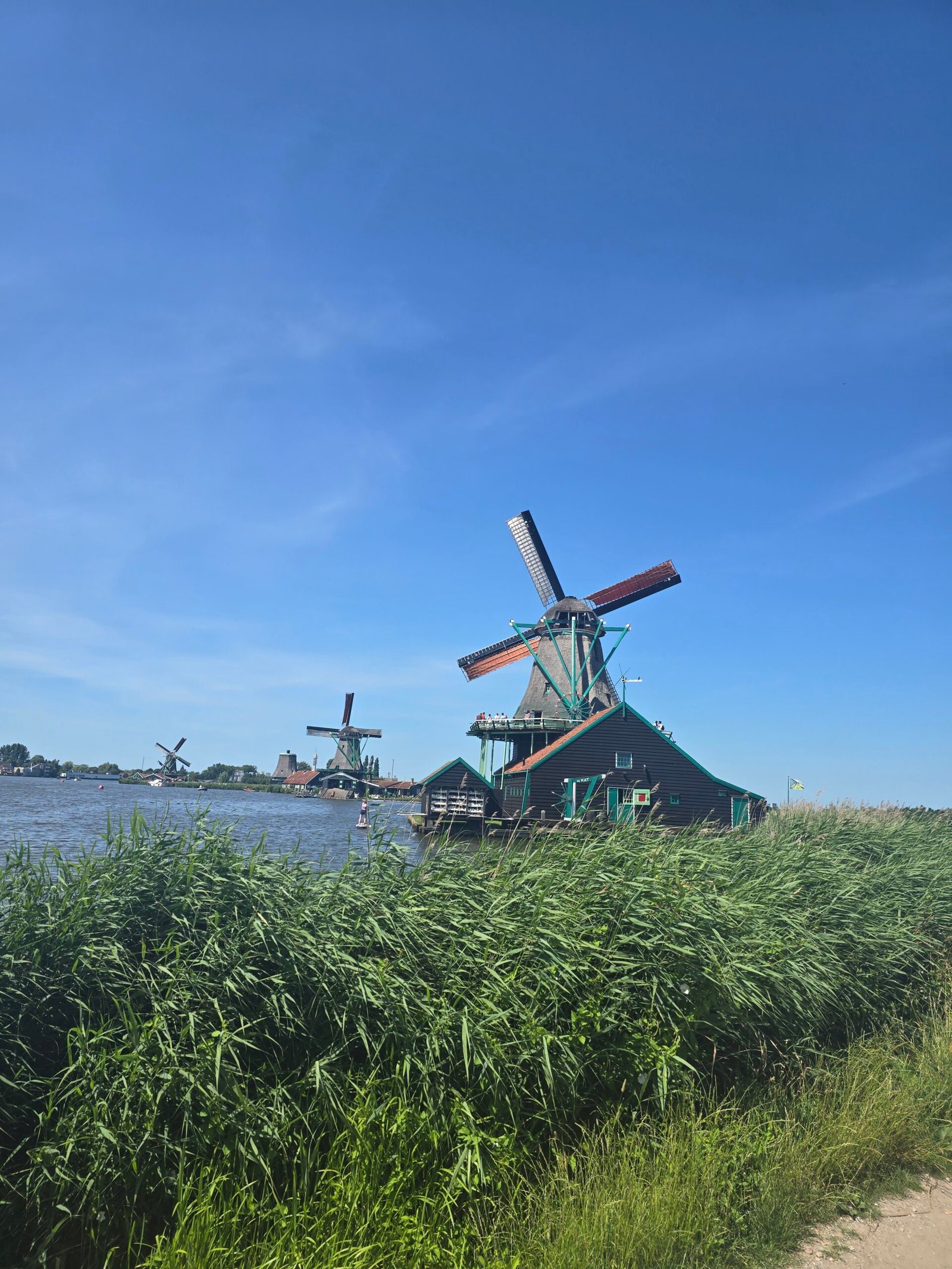 Heartwarming Family Tradition in the Netherlands That Deepens Heritage, Connection, and Belonging